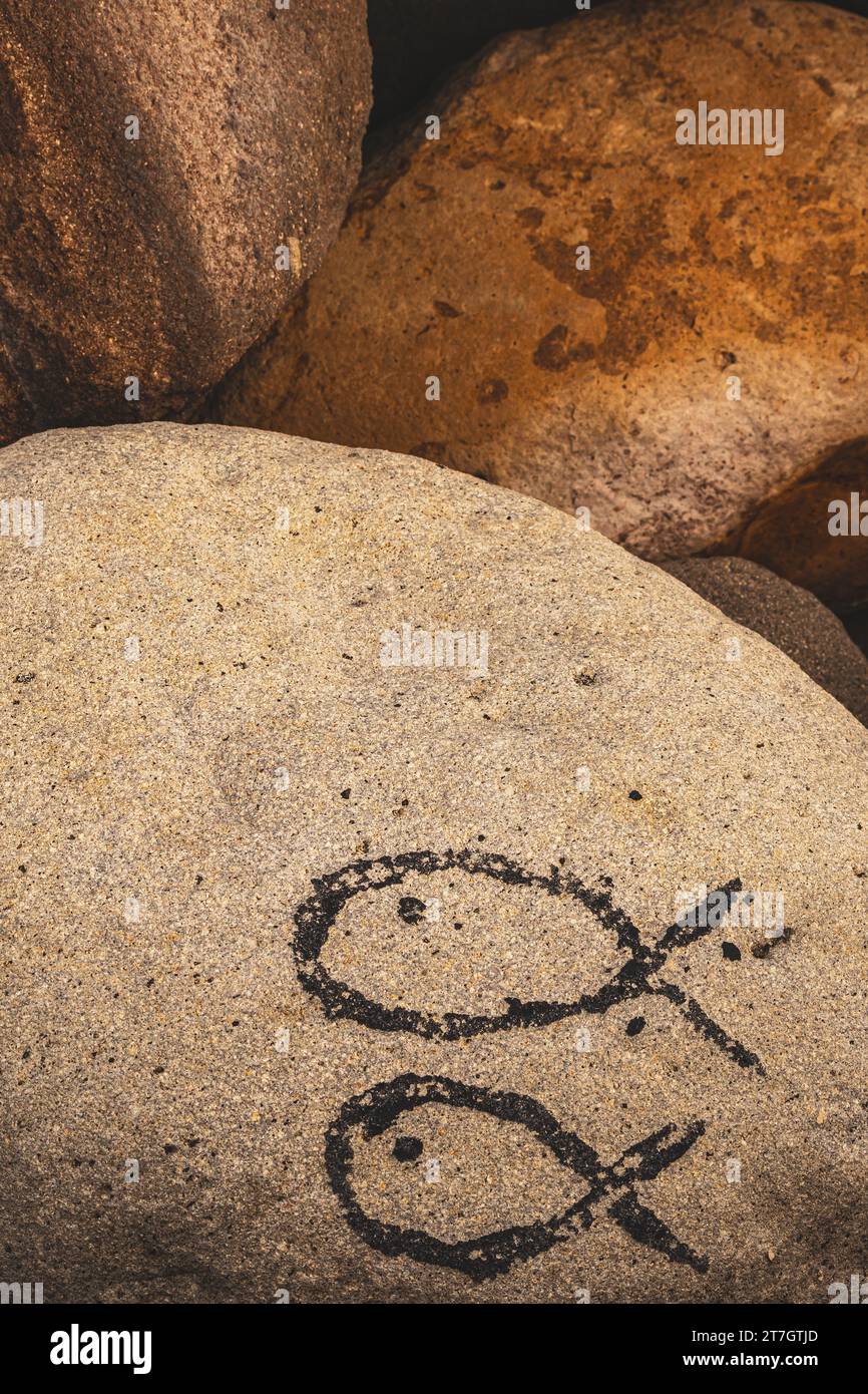 Zodiac, christian szmbiol, poissons, Mexique, Veracruz, seashore, 2022 Banque D'Images