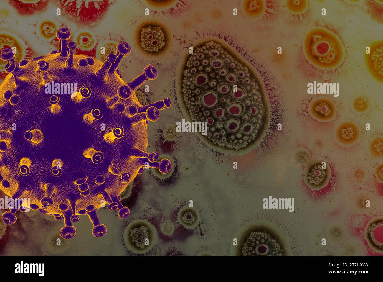 Arrêter la maladie pandémique mondiale du virus COVID-19 Corona Banque D'Images