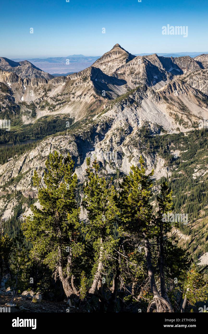 OR02731-00...OREGON - vue sur les montagnes Wallowa depuis le sentier Eagle Cap dans le sentier Eagle Cap. Banque D'Images