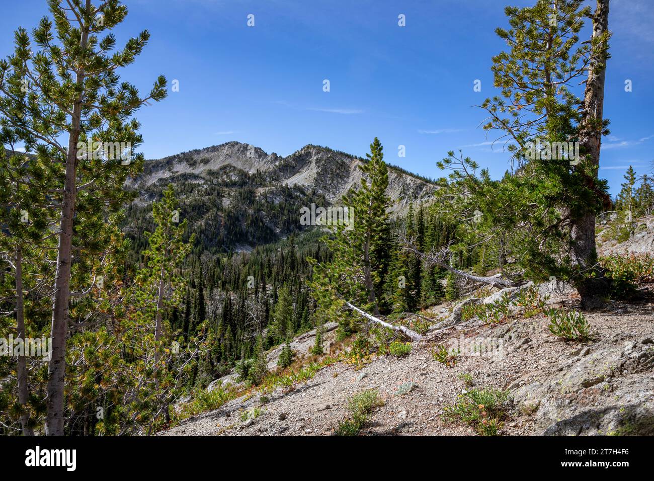 OR02758-00...OREGON - vue depuis la crête de Bowman Trail dans la nature sauvage Eagle Cap de la forêt nationale de Wallowa-Whitman. Banque D'Images