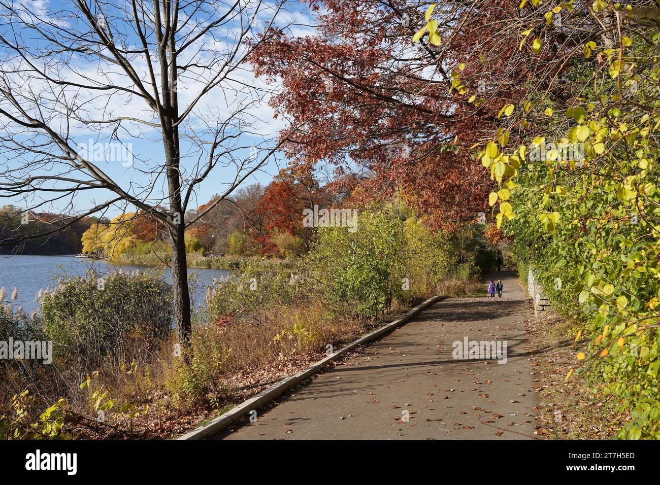 Chemin du parc à côté du lac, avec des couleurs d'automne Banque D'Images