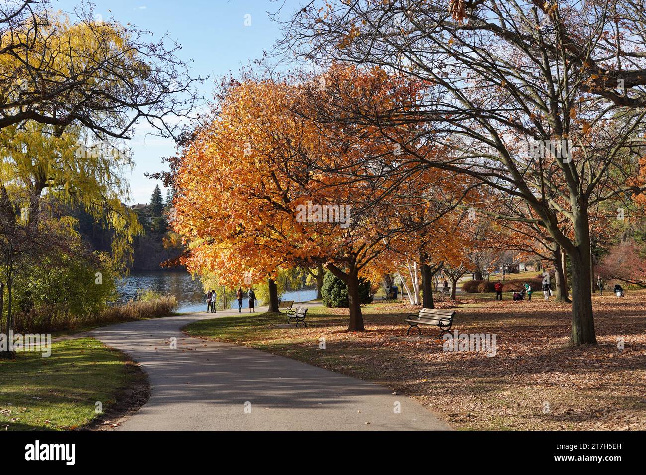 Chemin de parc avec des couleurs d'automne Banque D'Images