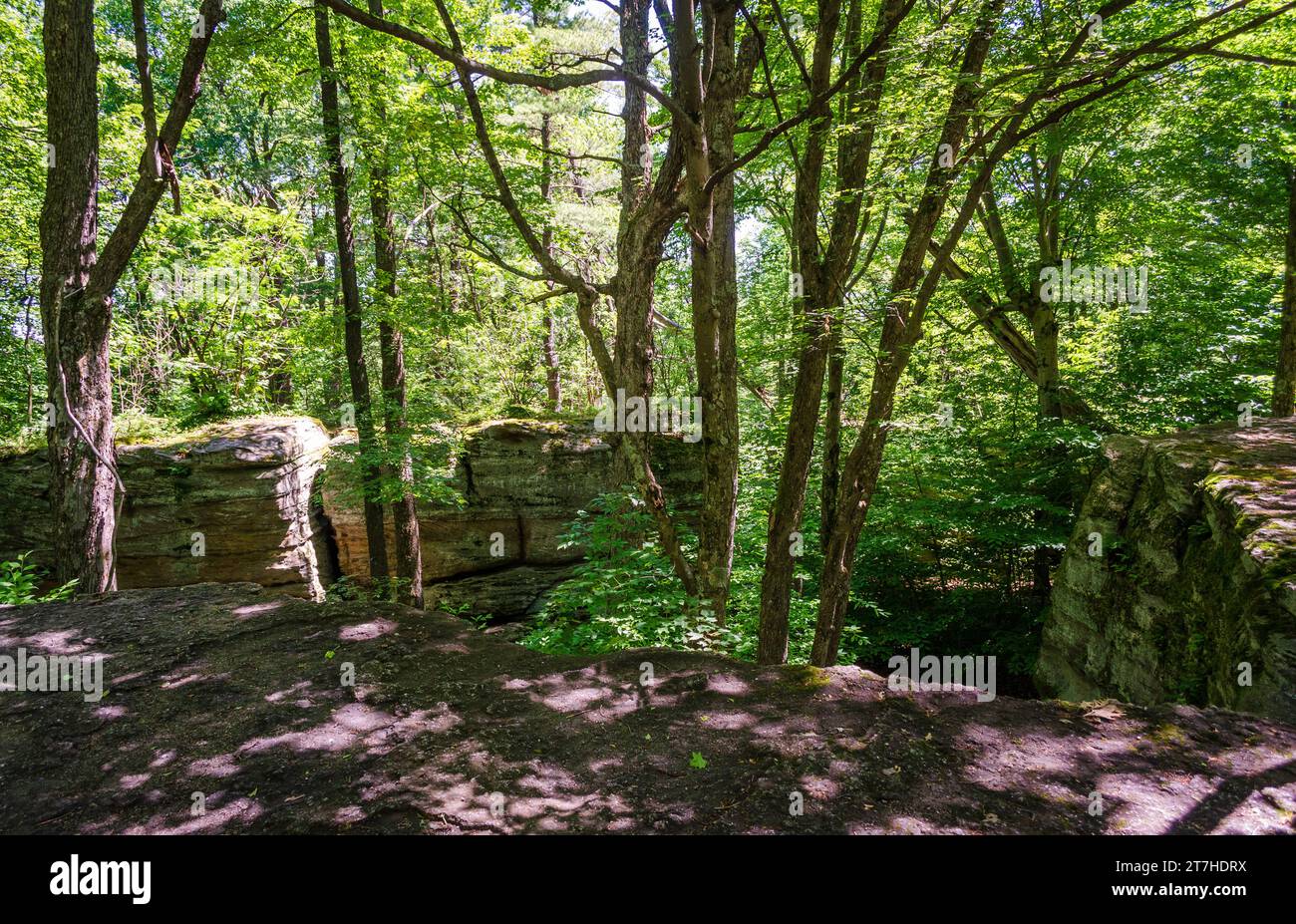 Little Rock City dans Rock City State Forest, État de New York, États-Unis Banque D'Images
