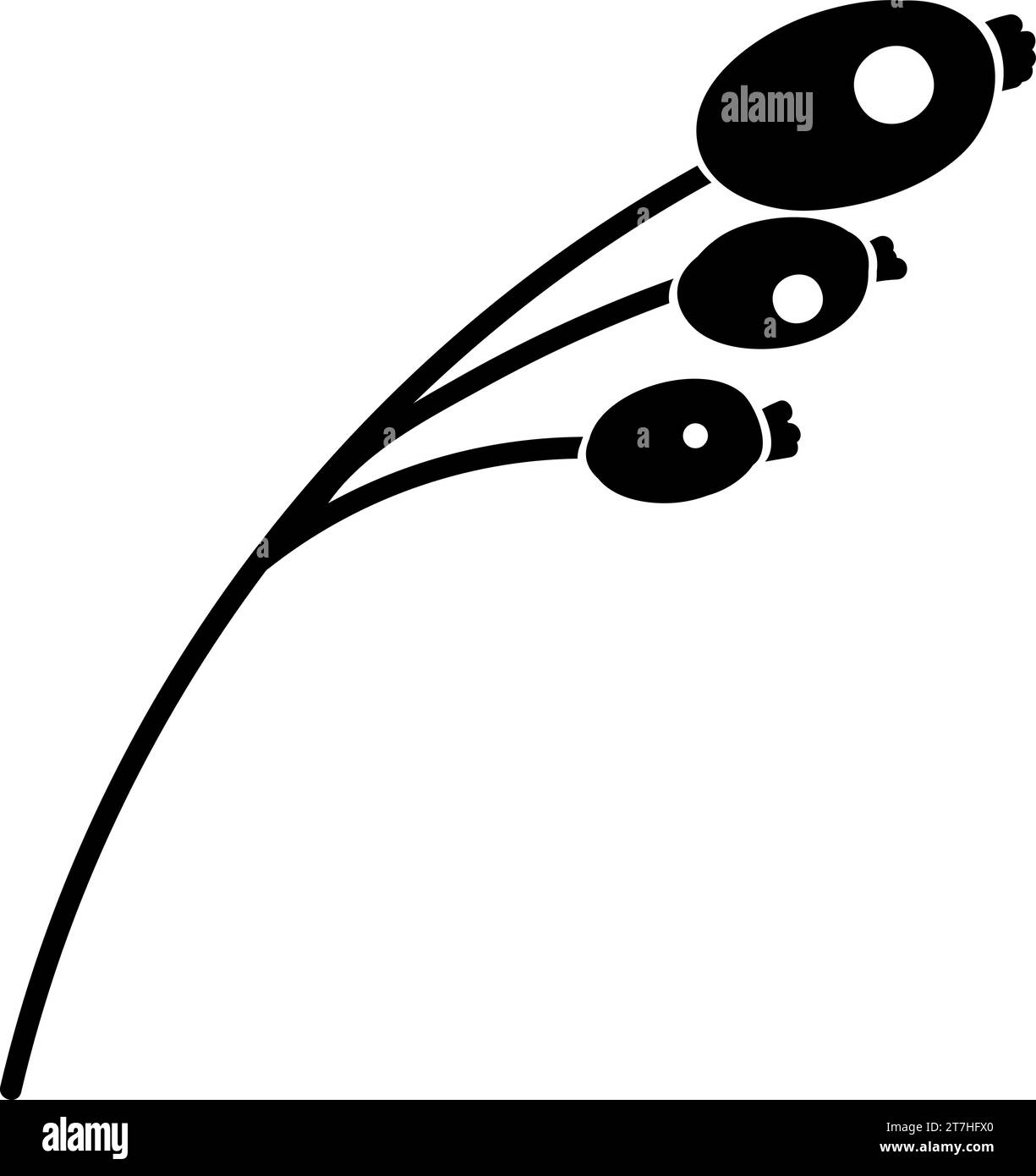 Doodle silhouette de branche de baies de cornouilles, élément de décoration de festival d'hiver. Baies de Dogwood, nourriture d'hiver. Vecteur à main levée de forme noire simple Illustration de Vecteur