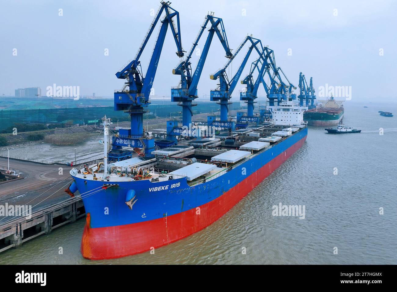 RUGAO, CHINE - le 16 NOVEMBRE 2023 - Une grosse machine est utilisée pour décharger du charbon australien importé sur un quai à Rugao, dans la province du Jiangsu, en Chine, le 16 novembre 2 Banque D'Images