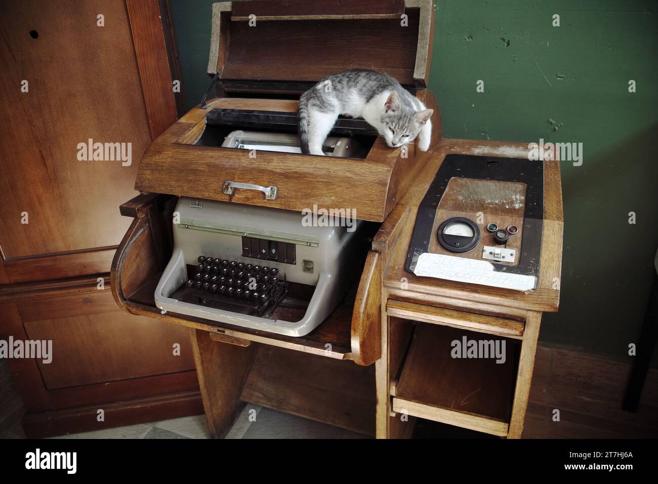Téléimprimeur Siemens Fernschreiber T100 avec armoire en bois et chat couché sur le dessus, station Mokra Gora, Sargan huit, Serbie Banque D'Images