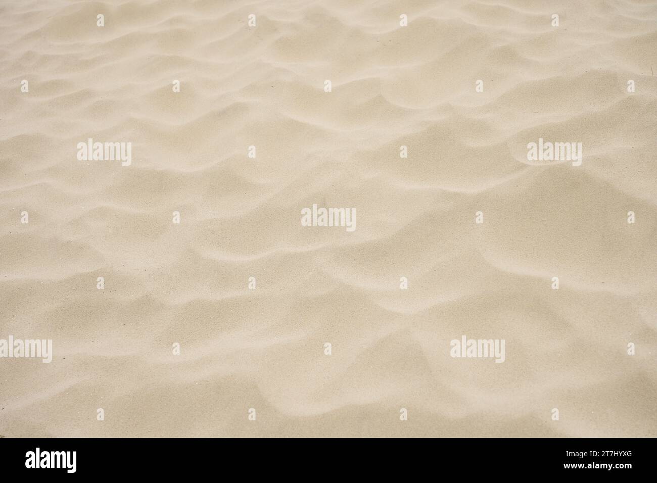 Sable fin doré. Fond à partir de matériaux naturels. Banque D'Images