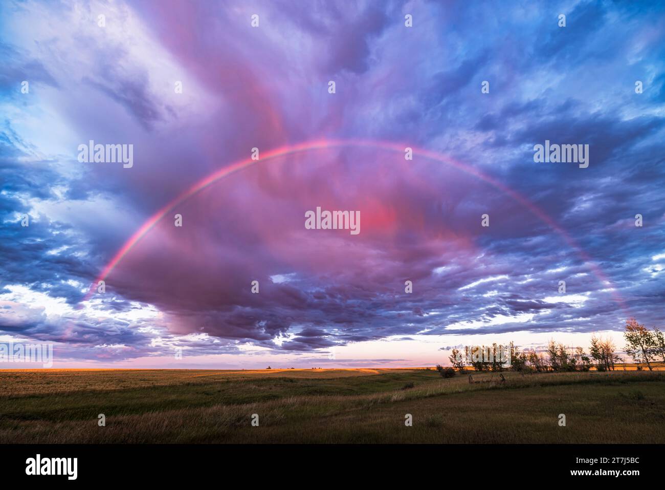 Un arc-en-ciel presque semi-circulaire qui est apparu brièvement au coucher du soleil de sorte que l'éclairage chaud a fait apparaître l'arc-en-ciel plus rouge que d'habitude et fixé au milieu du rouge Banque D'Images