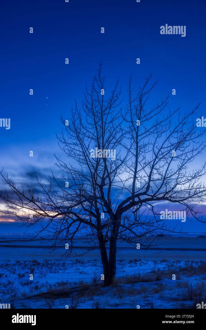 Vénus (en haut) et Jupiter en étroite conjonction dans la soirée du 2 mars 2023, le lendemain de leur approche la plus proche. Ils étaient à un degré d'écart Th Banque D'Images