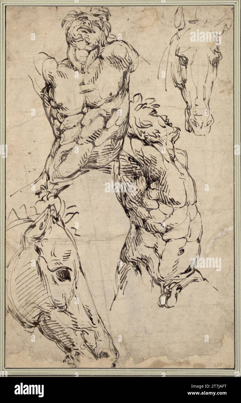 Tiburzio Passarotti Fiche d'étude avec deux semi-limes mâles en mouvement rotatif et deux têtes de cheval. Plume de tuyau ; encre ; traces de redel ; le bord inférieur considérablement endommagé Banque D'Images