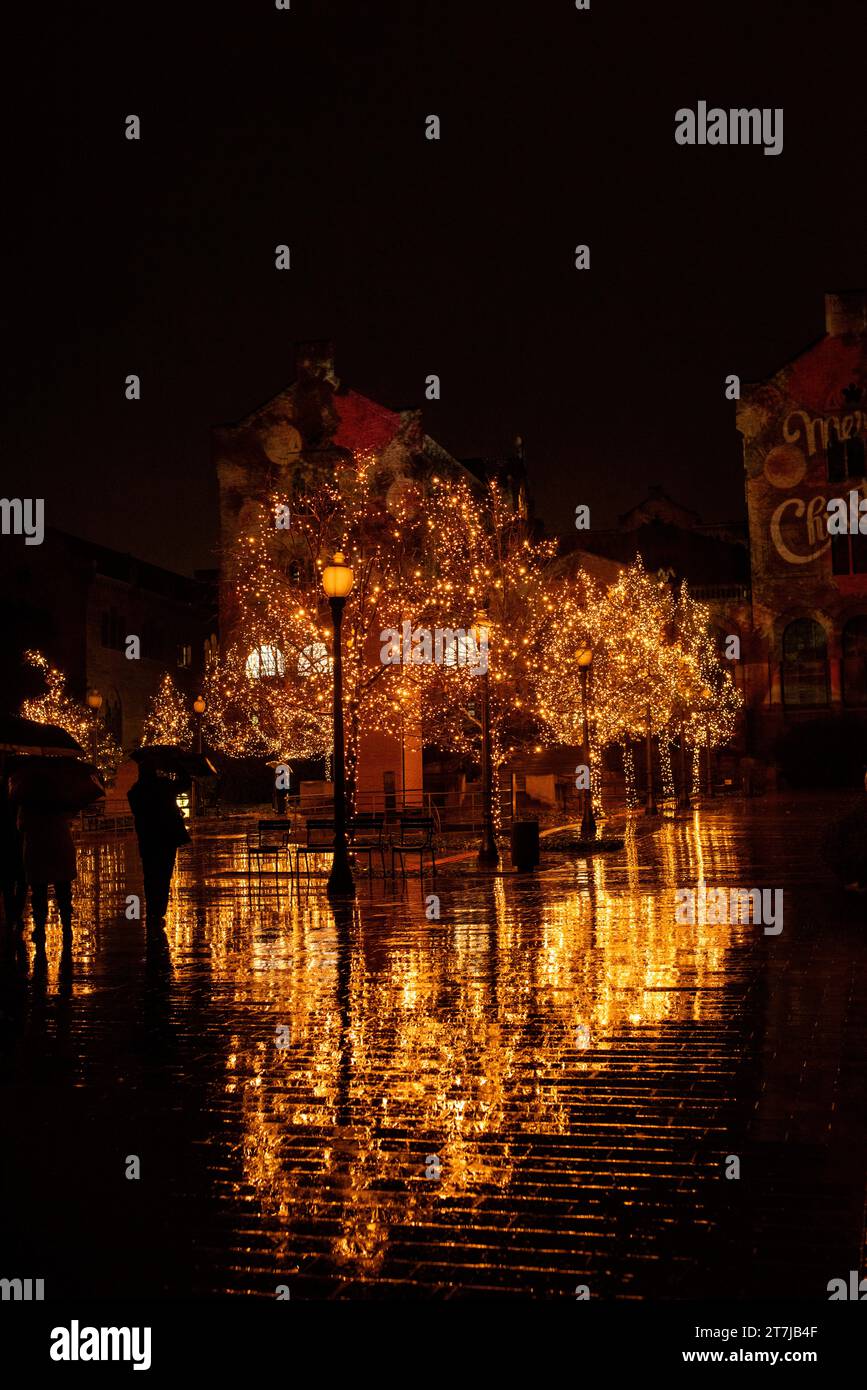 Magie de Noël embrassée par la pluie : des lumières éblouissantes ornent les arbres, se reflètent sur un sol humide, créant un merveilleux pays hivernal serein sous le ciel nocturne enchanteur Banque D'Images