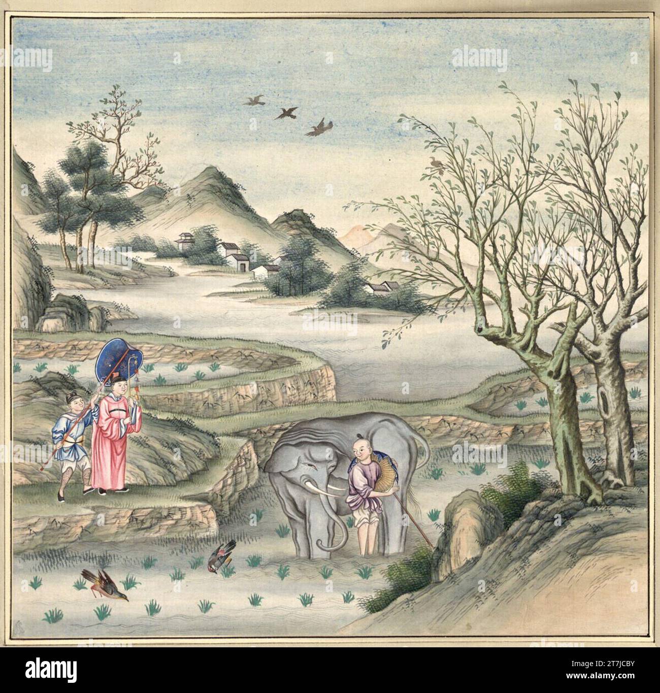 Anonyme l'éléphant. Aquarelle Banque D'Images