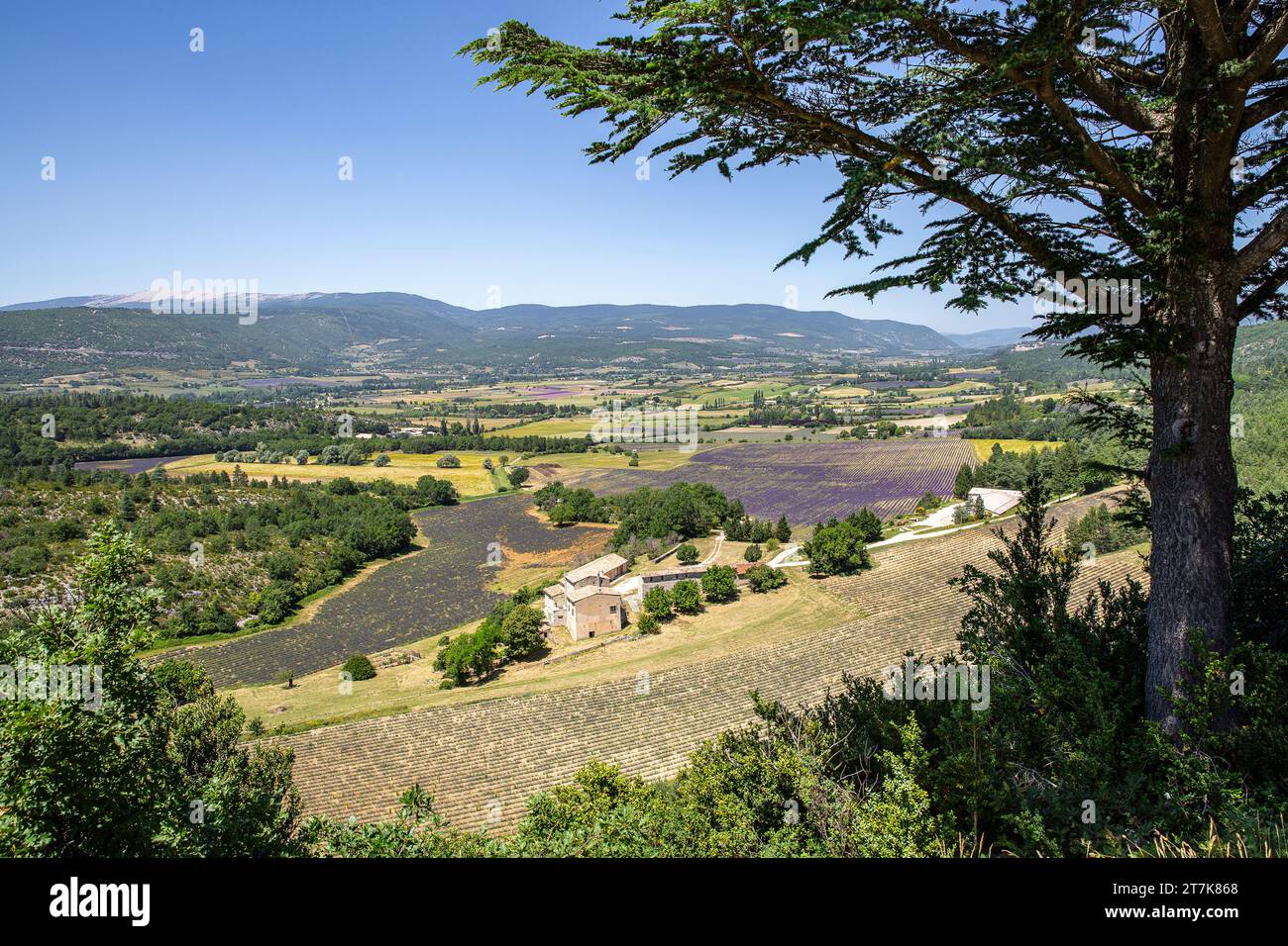 Paysage près de Sault dans le département du Vaucluse et dans la région Provence-Alpes-Côte d’Azur Banque D'Images