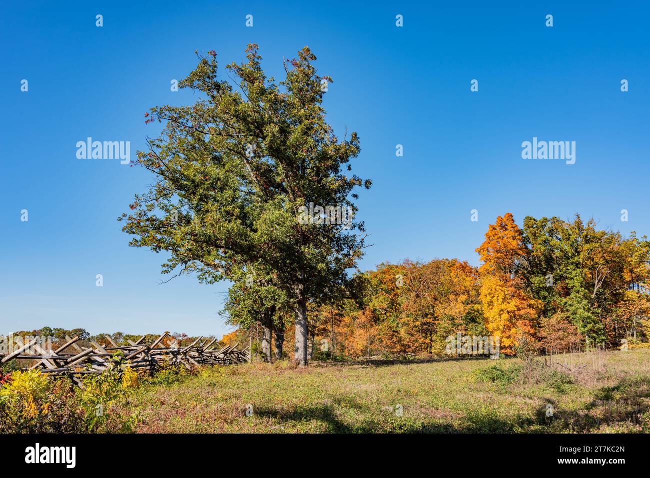 Couleurs d'automne sur Oak Hill, Gettysburg Pennsylvanie USA Banque D'Images