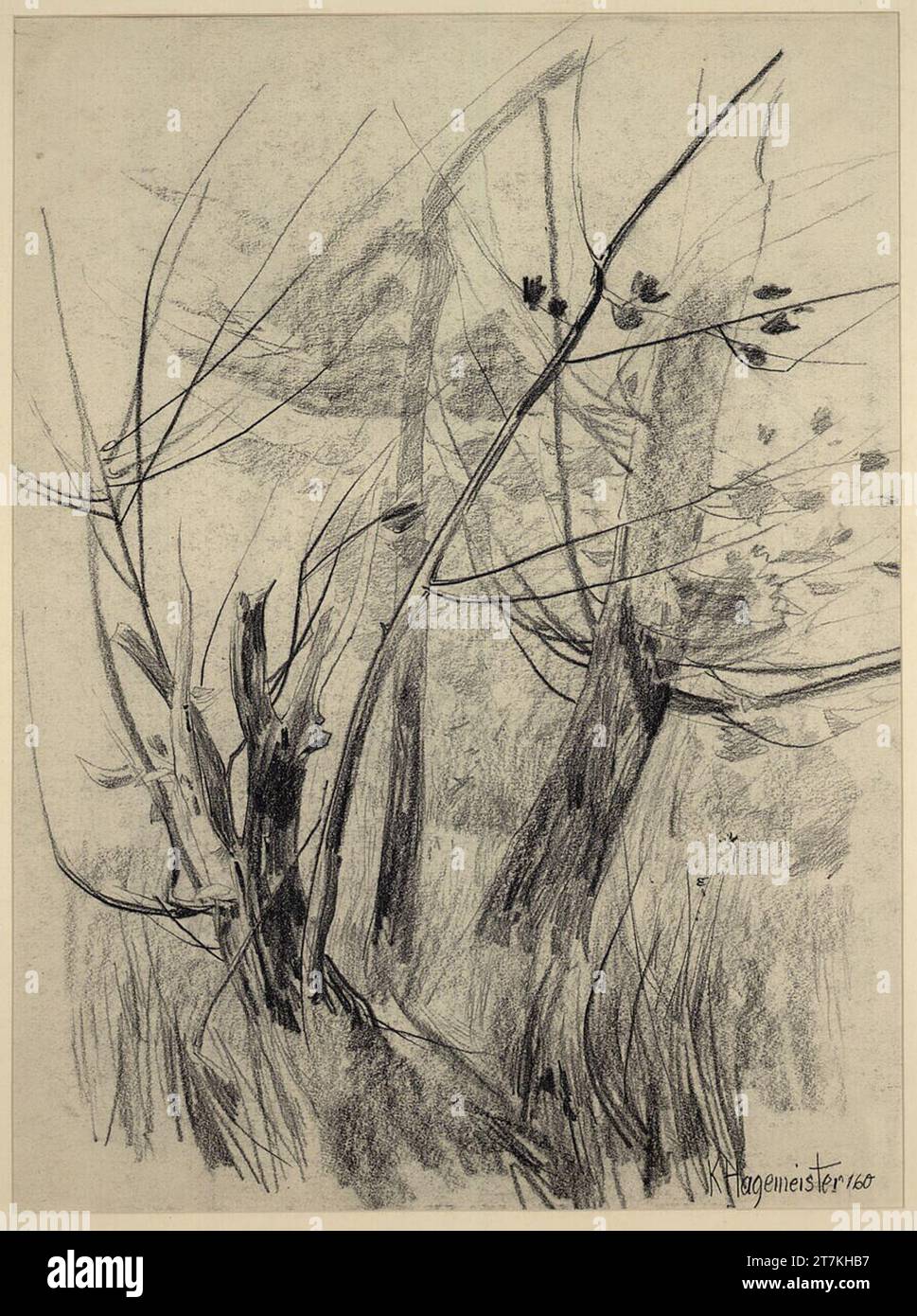 Karl Hagemeister casser les troncs d'arbre et frotter. Charbon 19. Siècle , 19e siècle Banque D'Images