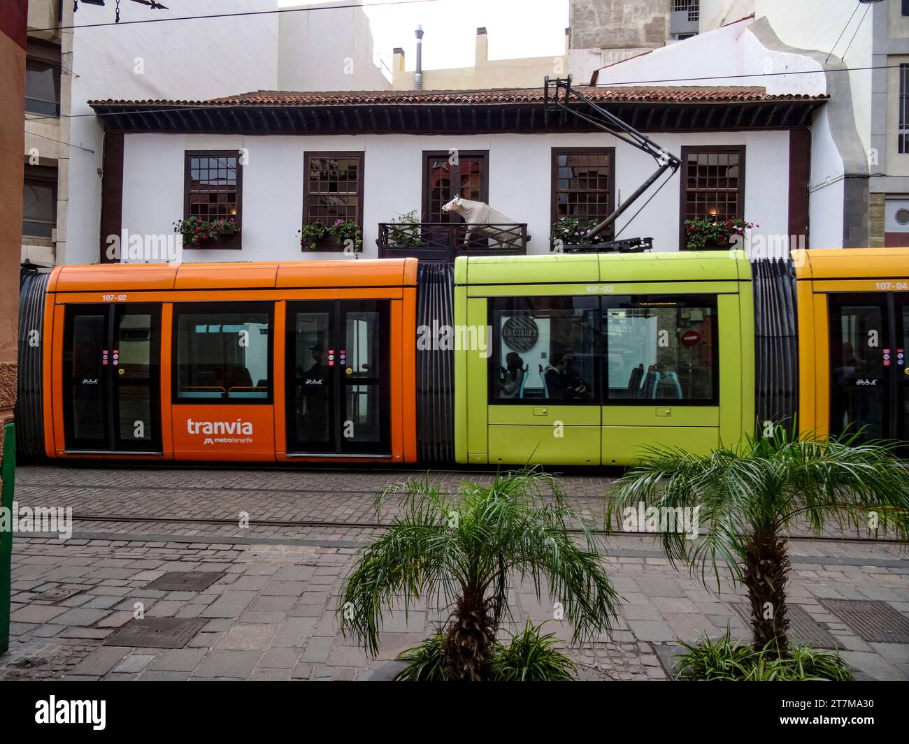 Tram coloré traversant les rails à Santa Cruz de Tenerife, Tenerife, îles Canaries, Espagne, tourisme, soleil d'hiver, visites touristiques Banque D'Images