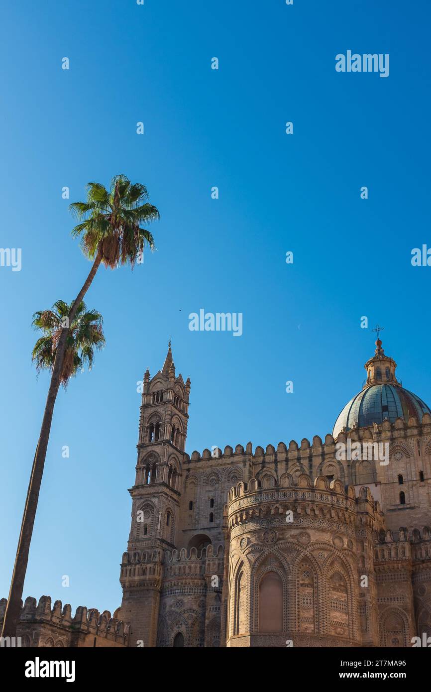 Palerme, Sicile, 2016. Deux palmiers penchés vers la cathédrale de Palerme, avec sa coupole et sa croix contre un ciel d'hiver bleu vif Banque D'Images