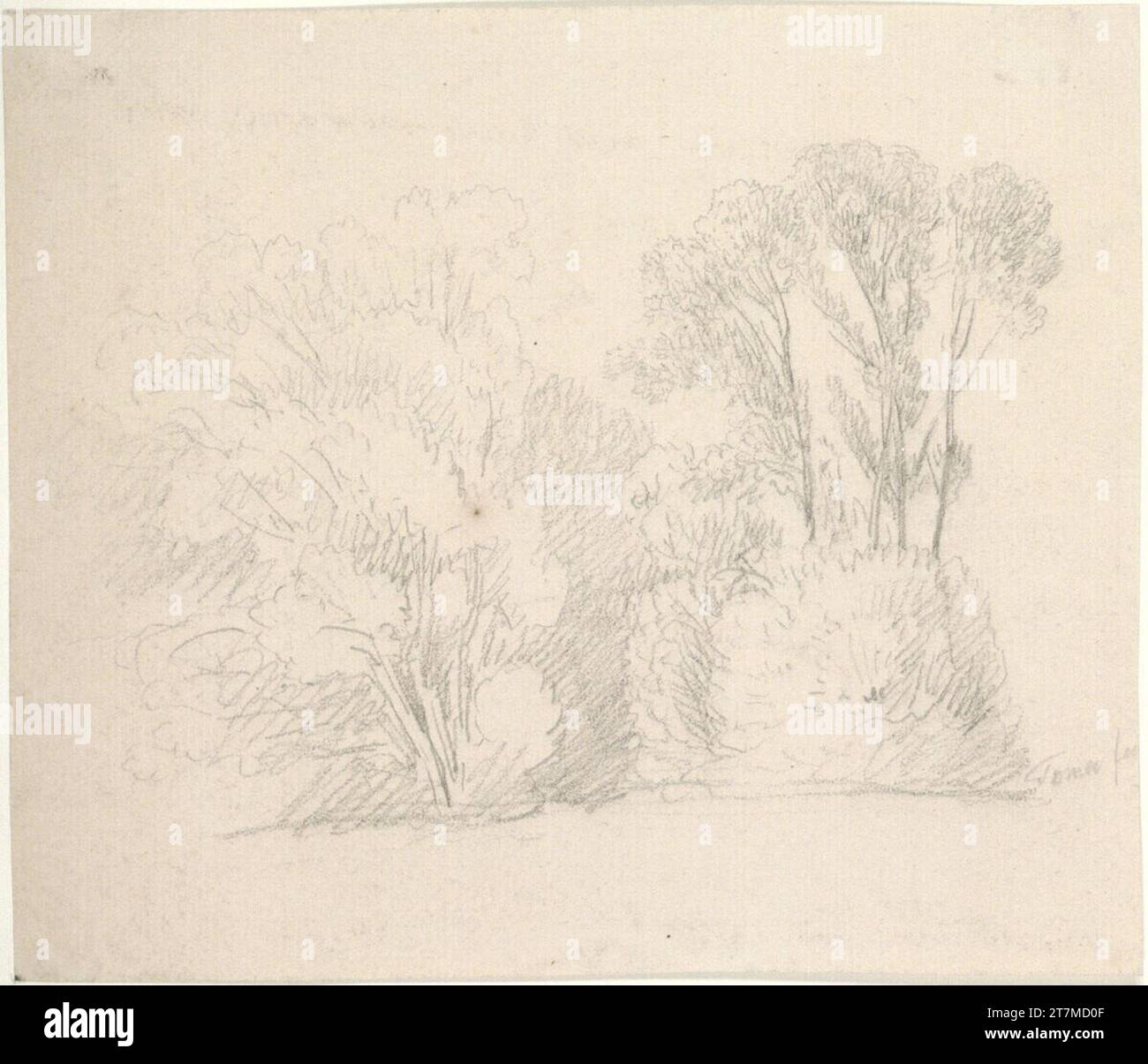 Matthias Rudolf Toma Forest. Crayon Banque D'Images