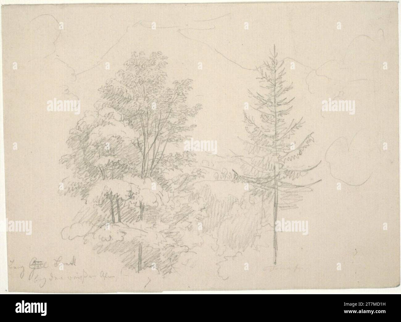 Matthias Rudolf Toma Forest. Crayon Banque D'Images