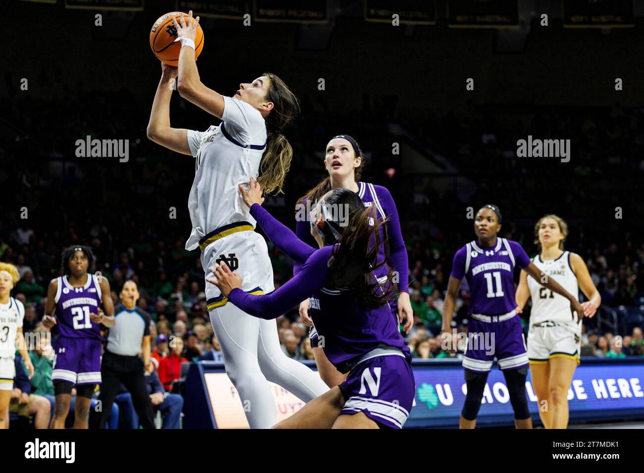 South Bend, Indiana, États-Unis. 15 novembre 2023. La garde de notre Dame, Sonia citron (11), se lance pour un tir alors que la garde du Nord-Ouest, Caroline Lau (2), défend lors du match de basket-ball féminin de la NCAA entre les Wildcats du Nord-Ouest et les Irlandais de notre Dame au Pavillon Purcell au Joyce Center à South Bend, Indiana. Notre Dame bat Northwestern 110-52. John Mersits/CSM (image de crédit : © John Mersits/Cal Sport Media). Crédit : csm/Alamy Live News Banque D'Images