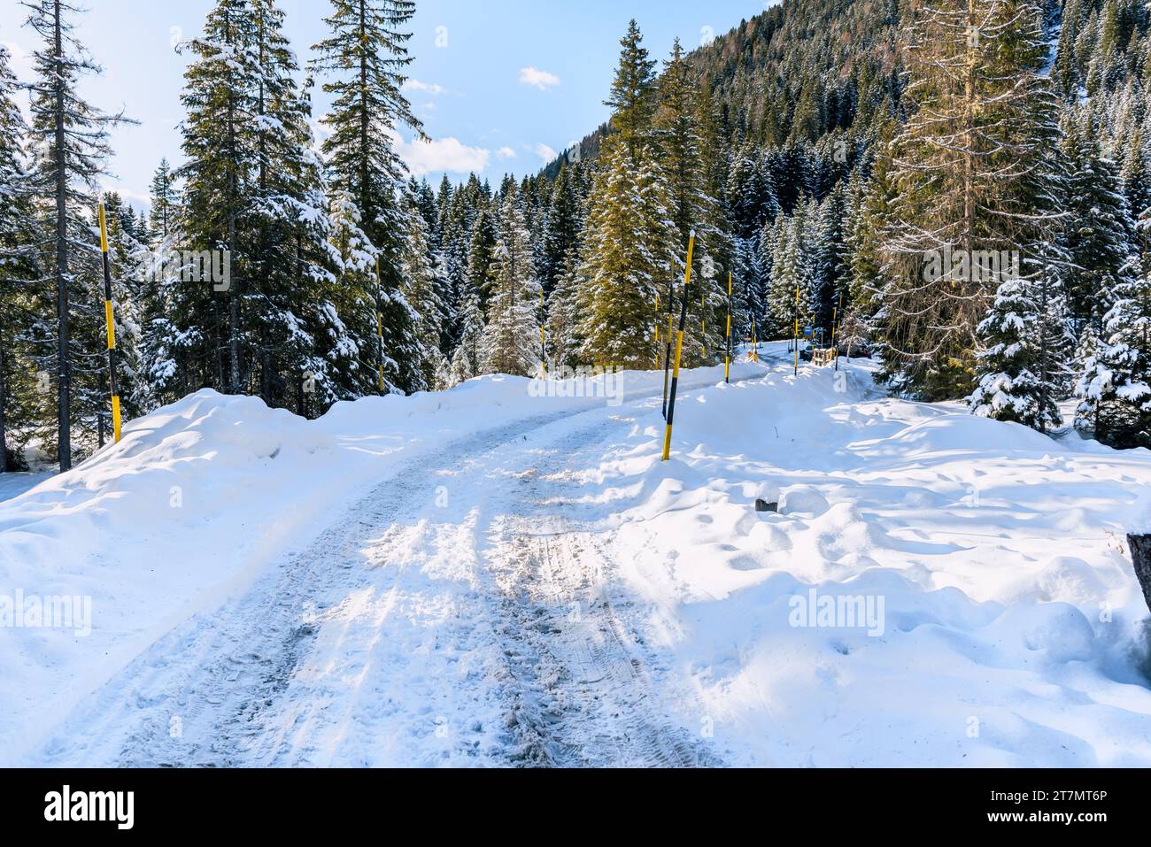 Route arrière couverte de neige déserte à travers une forêt enneigée par une journée ensoleillée d'hiver Banque D'Images
