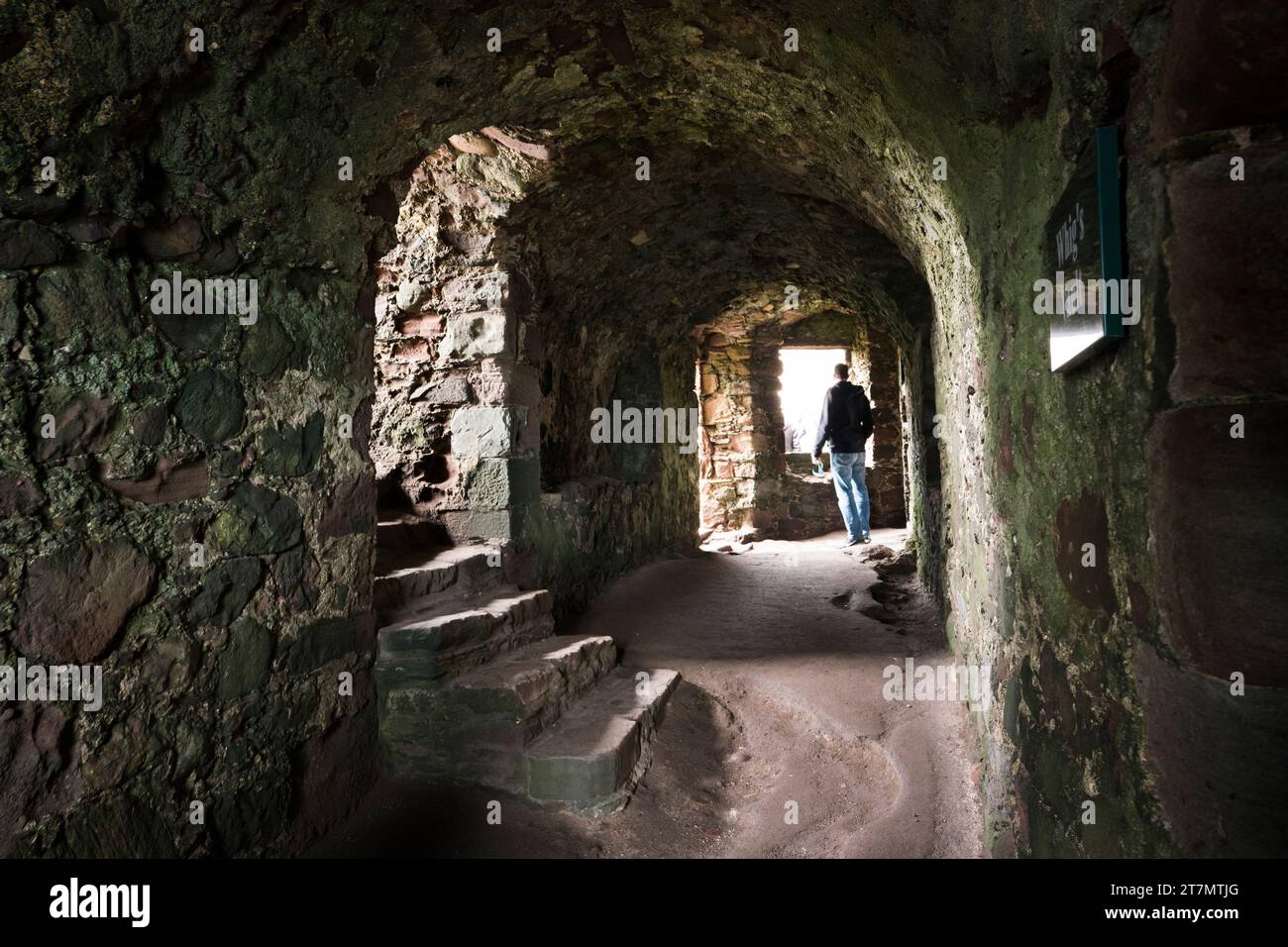 Un homme adulte explore une ancienne ruine en pierre abandonnée avec un plafond incurvé le long du couloir avec des escaliers et une fenêtre à l'intérieur du château de Dunnottar ; Écosse, Banque D'Images