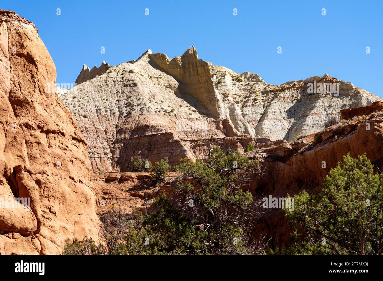 Nageoires de grès érodées sur le sentier Angel's Palace Trail dans le parc d'État de Kodachrome Basin dans l'Utah. Banque D'Images