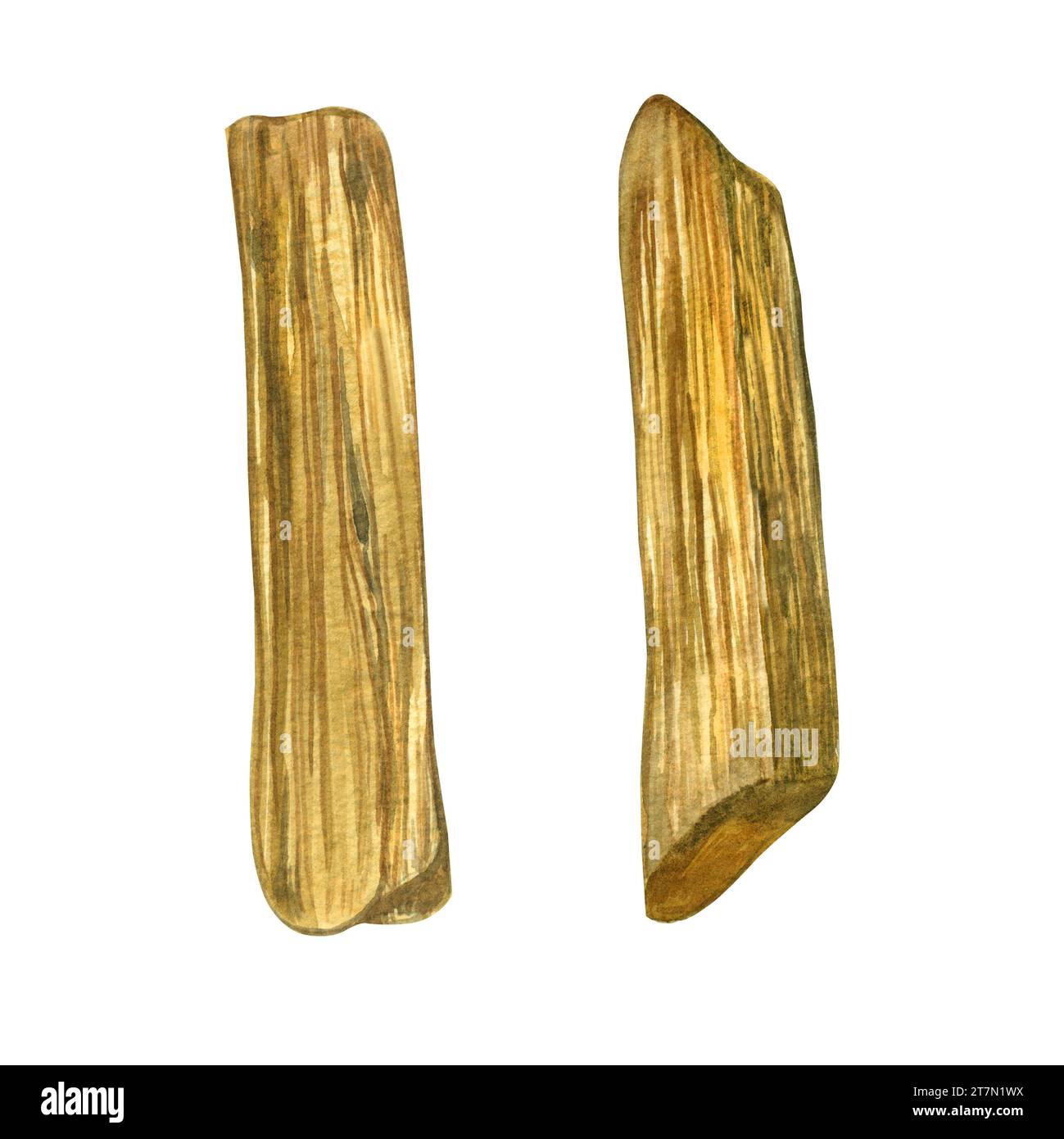 Illustration à l'aquarelle. Aromathérapie, bâtons de bois Palo Santo dessinés à l'aquarelle sur fond blanc. Convient pour l'impression sur tissu, papier Banque D'Images