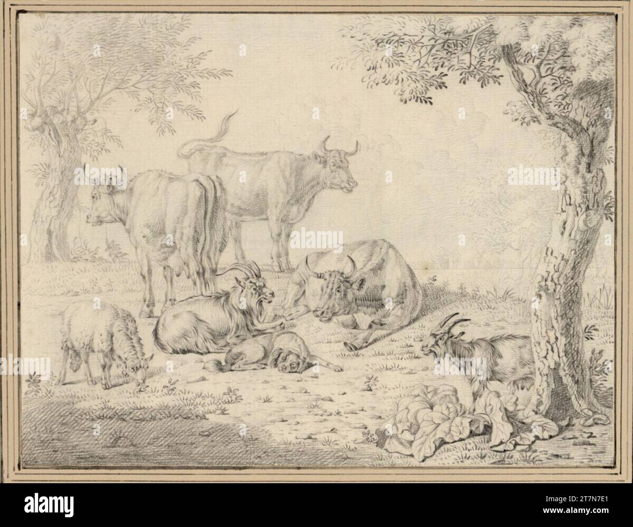 Jan van Gool trois vaches, deux chèvres, un mouton et un chien endormi. Crayon graphite et craie noire. Banque D'Images