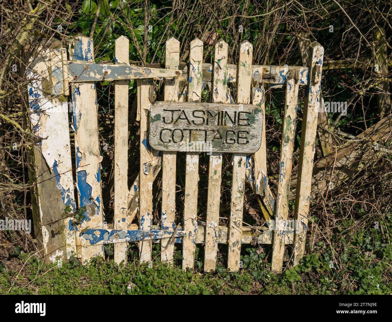Ancienne porte de jardin en bois vieilli pour 'Jasmine Cottage' avec peinture écaillée et bois pourri, Wyfordby, Leicestershire, Angleterre, Royaume-Uni Banque D'Images
