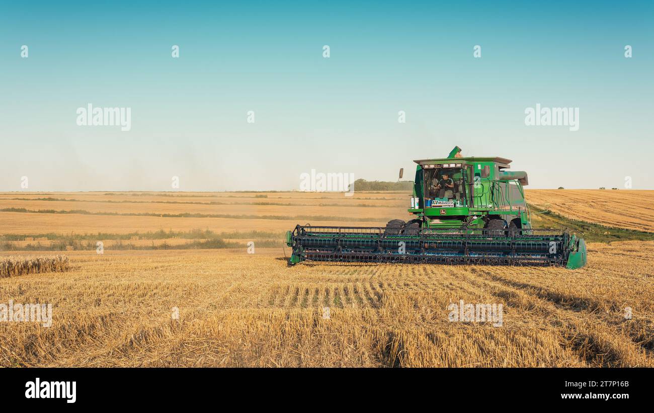 machine de battage de maïs et de blé Banque D'Images