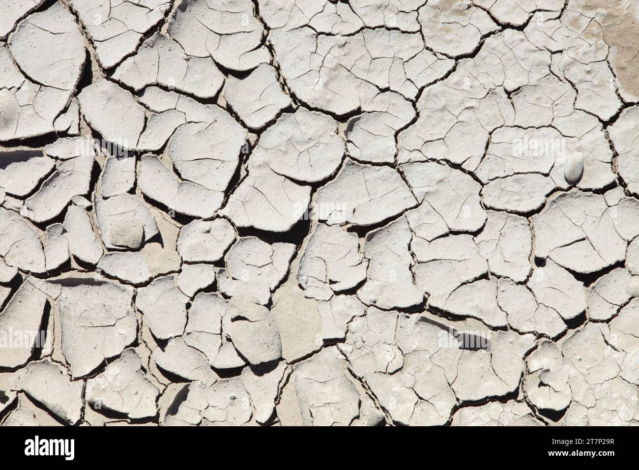 Gros plan de boue fissurée sèche, causée par l'évaporation rapide de l'eau dans la chaleur du soleil d'été. Banque D'Images