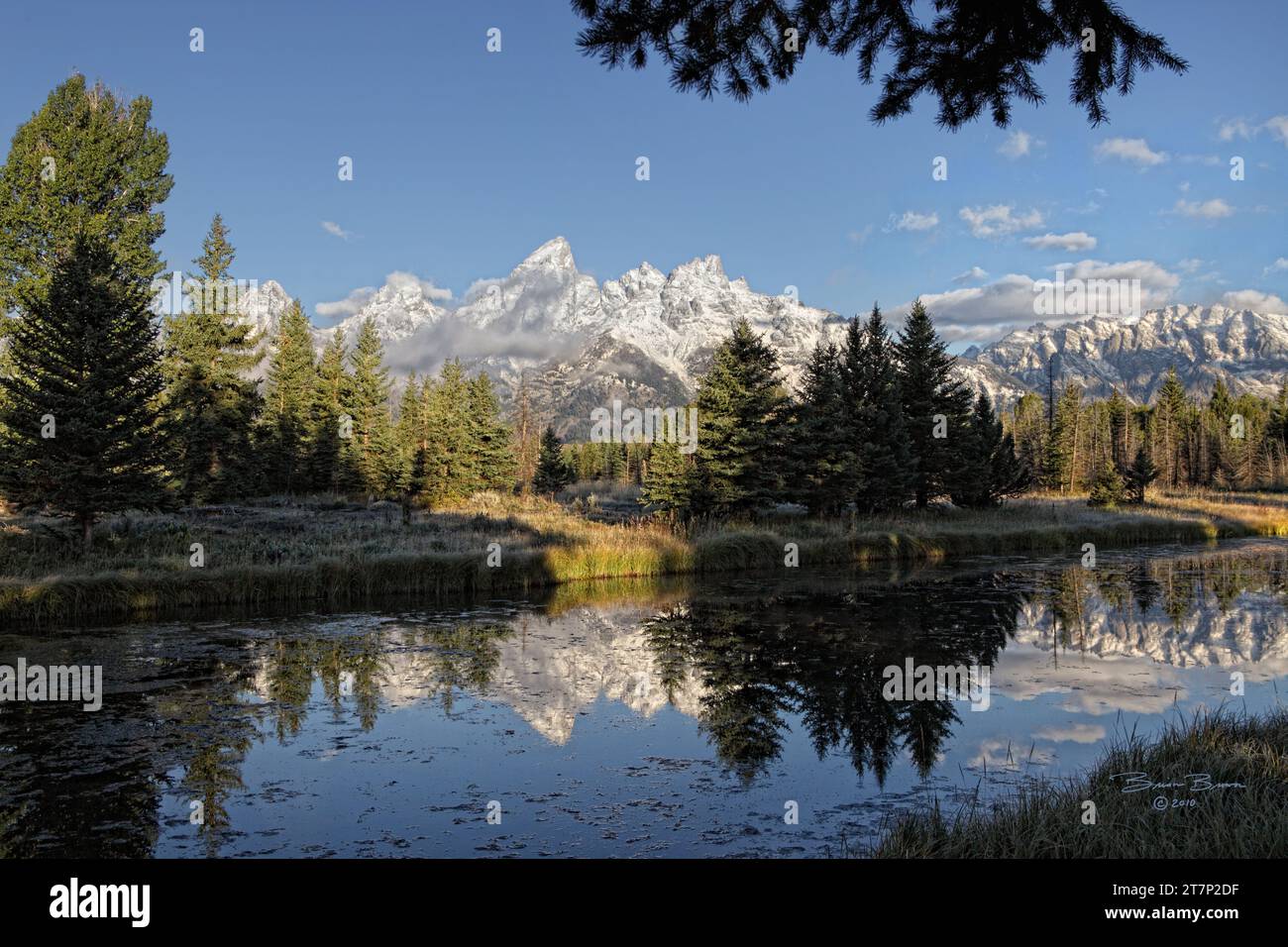 Une vue matinale de la chaîne de montagnes Teton depuis Schwabacher Landing dans le parc national de Grand Teton. Banque D'Images