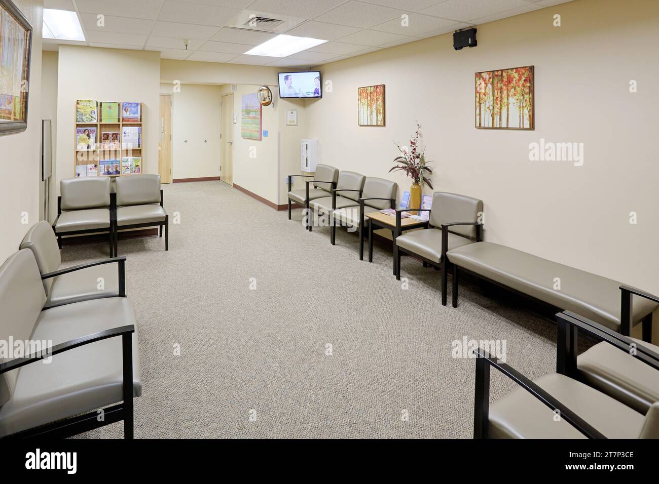 La salle d'attente d'un cabinet de médecins moderne, décorée dans des tons de terre apaisants et calmes. Banque D'Images