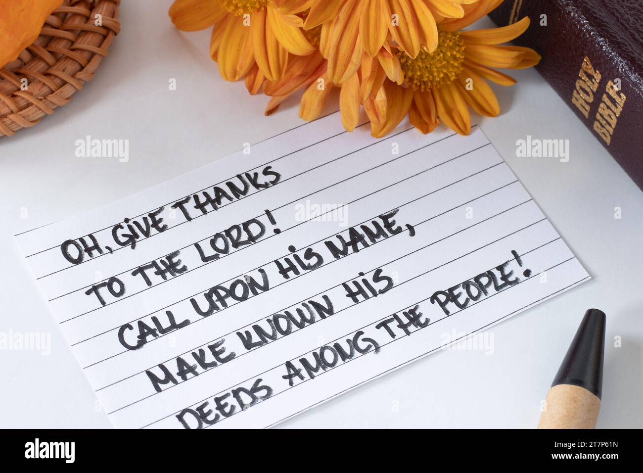 Rends grâce au Seigneur, verset chrétien manuscrit avec citrouille, fleurs d'automne, et sainte bible. Thanksgiving, adoration, louange à Dieu Jésus-Christ. Banque D'Images