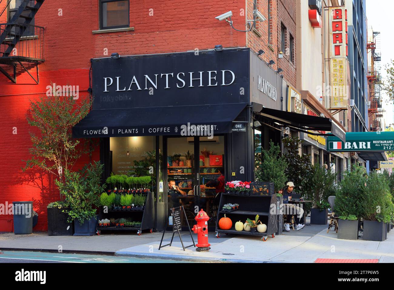 PlantShed Cafe, 1 Prince St, New York. Photo de la vitrine de NYC d'un fleuriste et d'un café dans le quartier Nolita de Manhattan. Banque D'Images