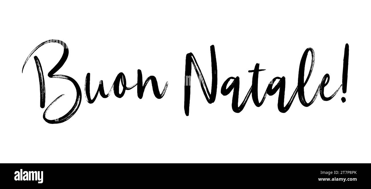 Buon natale en Italien. Traduction anglaise Marry Christmas. Noël en différentes langues. Calligraphie et lettrage modernes Illustration de Vecteur