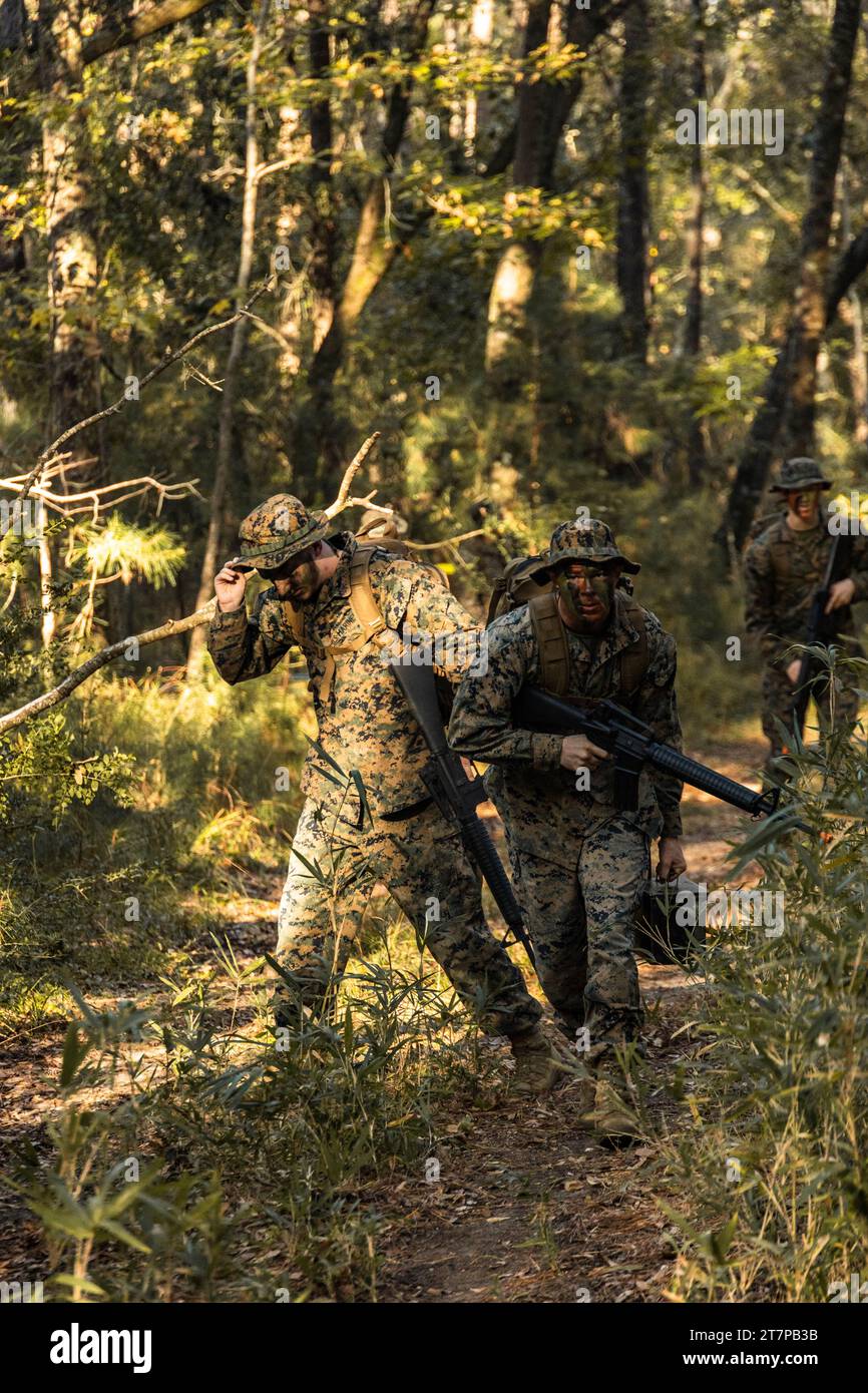 Les Marines américains avec la Marine corps Air Station (MCAS) Beaufort, effectuent une patrouille de contact simulée lors d'un événement culminant du cours caporal au MCAS Beaufort, Caroline du Sud, le 8 novembre 2023. Caporaux est un programme d'éducation militaire professionnelle d'un mois qui développe les compétences de leadership des petites unités des Marines et continue de les préparer à diriger les Marines. (Photo du corps des Marines des États-Unis par le Cpl.Mason Coots) Banque D'Images