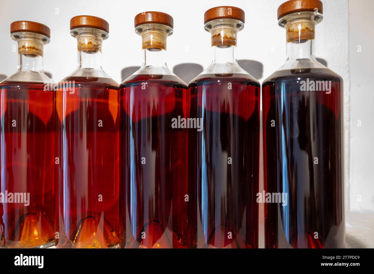 Différentes couleurs et âges de spiritueux de cognac en bouteilles en distillerie, région de vin blanc de Cognac, Charente, visite de l'ancienne maison de distillation de spiritueux, Banque D'Images