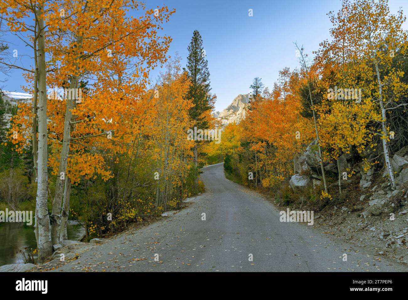 Couleurs d'automne le long de la Middle Fork Bishop Creek dans les montagnes de l'est de la Sierra Nevada près de Bishop California Banque D'Images