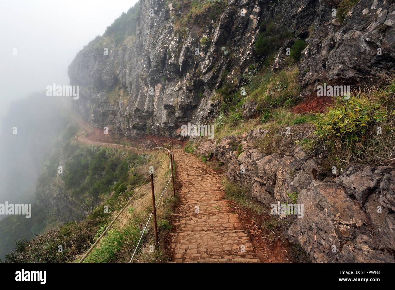 Sentier de randonnée PR1 Vereda do Areeiro dans le brouillard, de Pico do Arieiro à Pico Ruivo, Madère, Portugal, Europe Banque D'Images