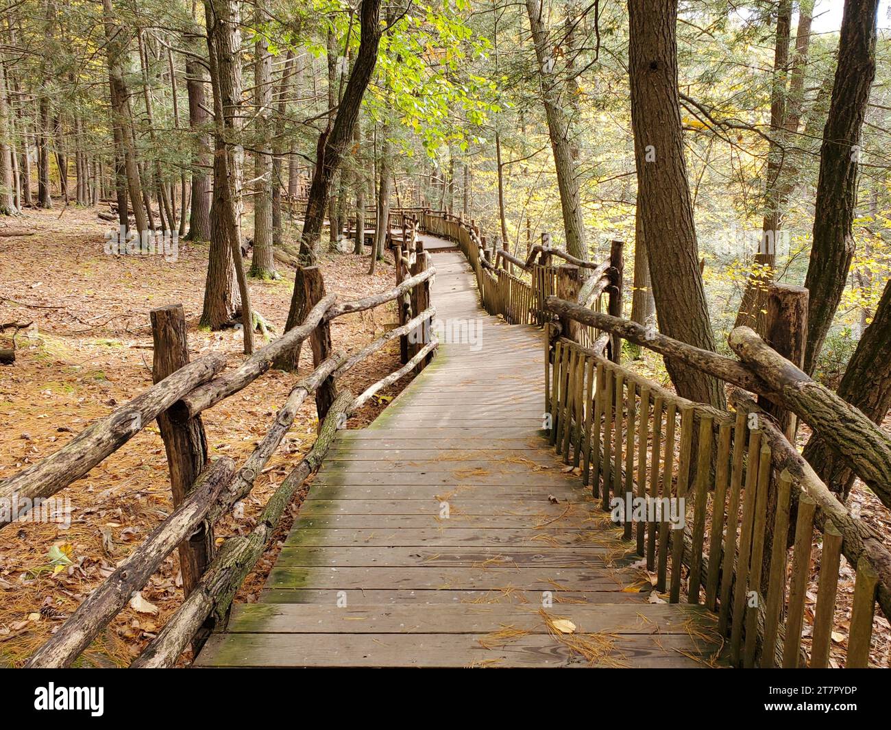 La vue sur le sentier de randonnée en bois entouré par le magnifique feuillage d'automne près de Bushkill Falls, Pennsylvanie, États-Unis Banque D'Images