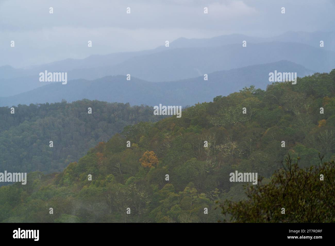 Blue Ridge Parkway, célèbre route reliant le parc national de Shenandoah au parc national des Great Smoky Mountains Banque D'Images