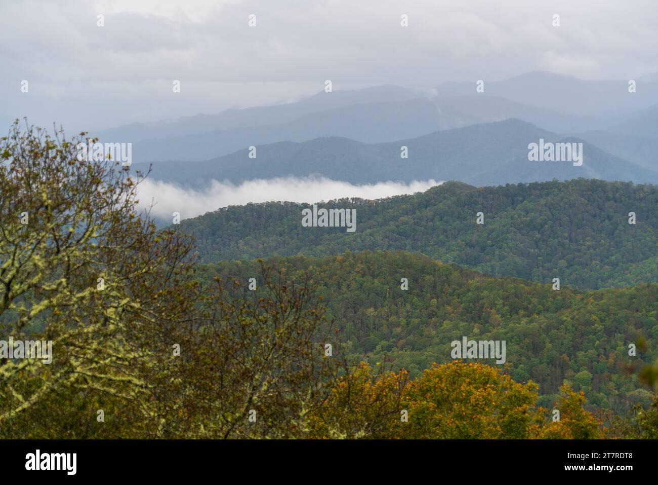 Blue Ridge Parkway, célèbre route reliant le parc national de Shenandoah au parc national des Great Smoky Mountains Banque D'Images