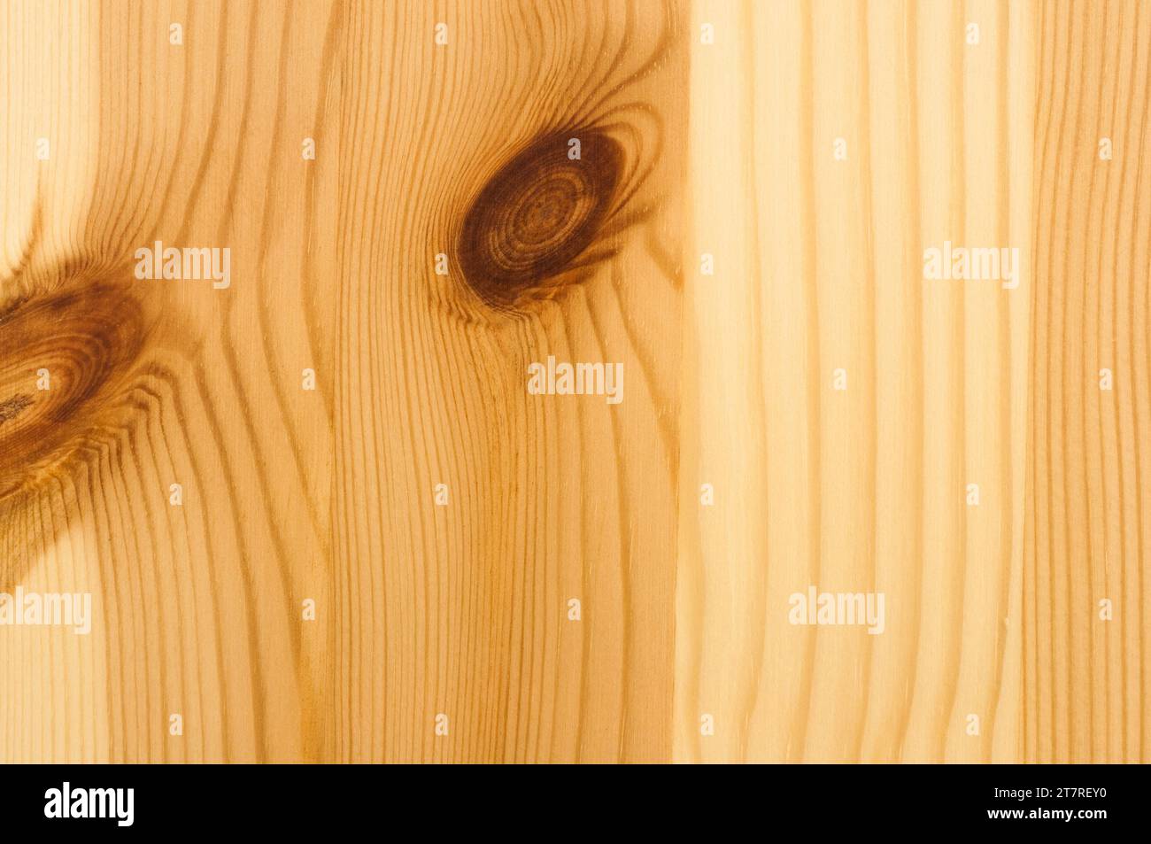 Gros plan d'une planche en bois de conifères avec des noeuds Banque D'Images