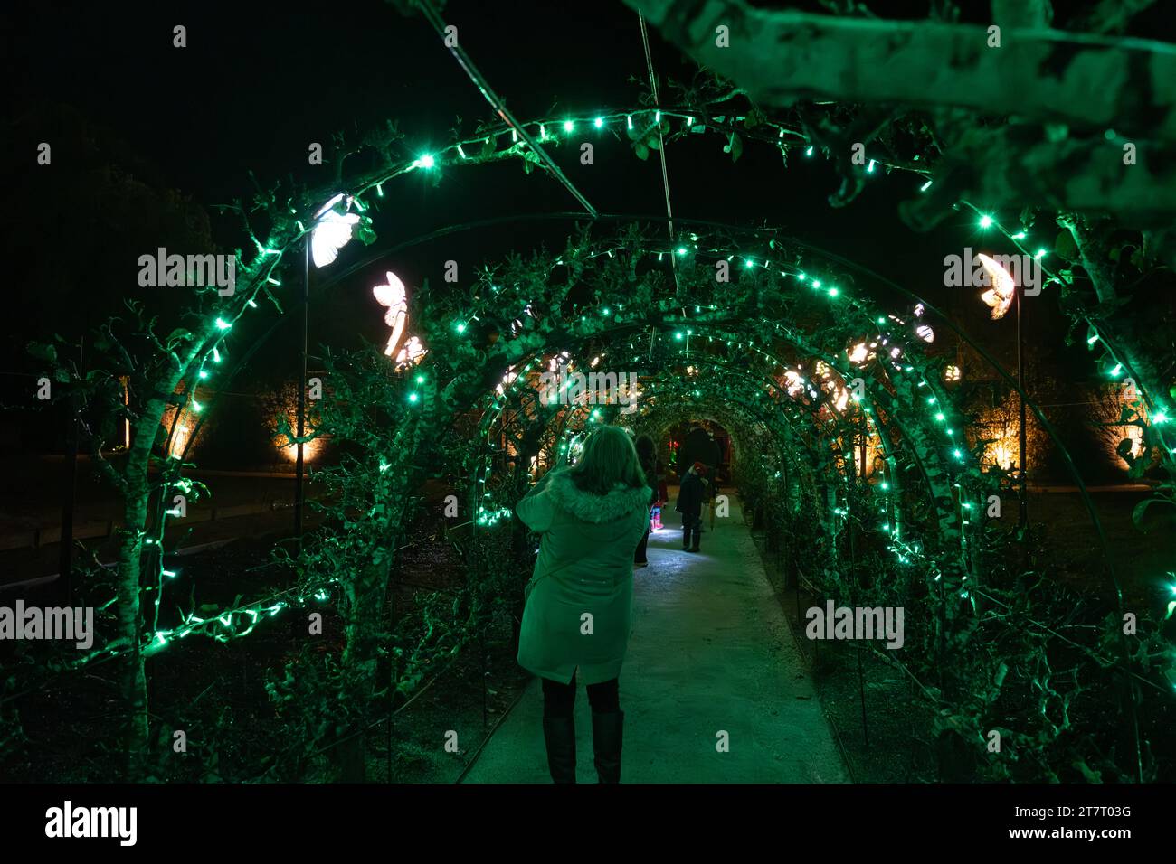 Jardins perdus de Heligan, St Austell, Cornouailles, Royaume-Uni. 16 novembre 2023. Heligan Night Garden est ouvert au public. Avec plus d'un mile d'expositions illuminées, le pays des merveilles hivernales à Heligan ouvre aujourd'hui au public. Tout au long du jardin, il y a des exibits fabriqués par la compagnie de lanternes reflétant la faune diversifiée, y compris les castors qui sont dans les jardins maintenant. Crédit Simon Maycock / Alamy Live News. Banque D'Images