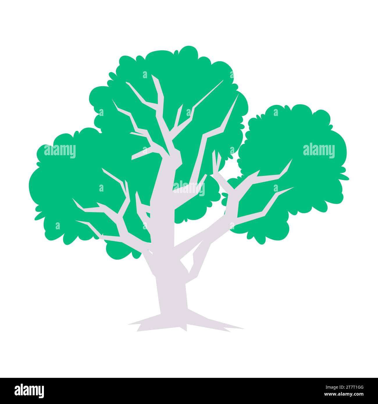 grand arbre avec tronc blanc vert feuillage écologie environnement frais nature croissance plante haute et grand bois Illustration de Vecteur
