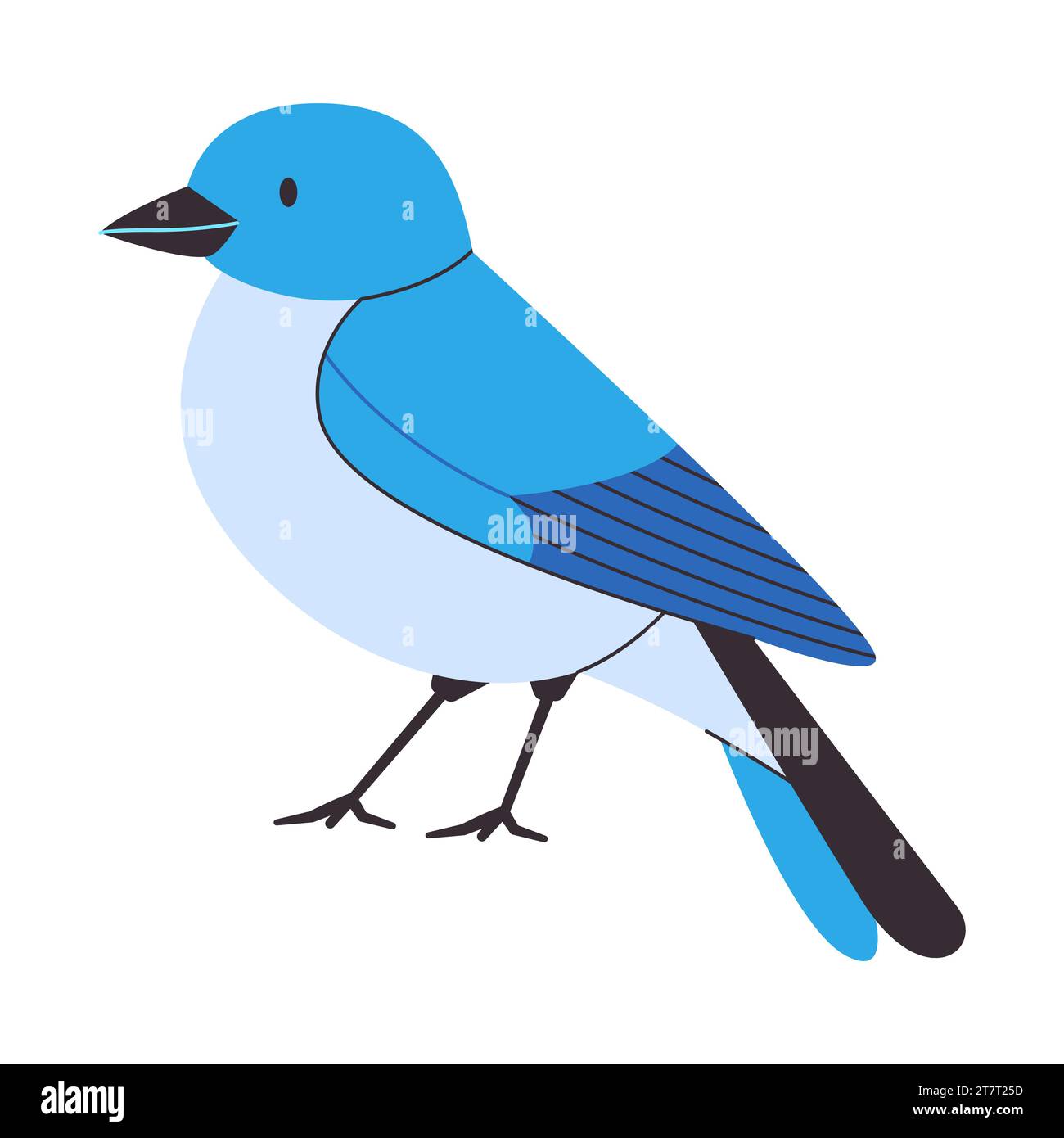 bluebird de montagne debout petit bel animal de nature sauvage songbird vivent en amérique du nord Illustration de Vecteur
