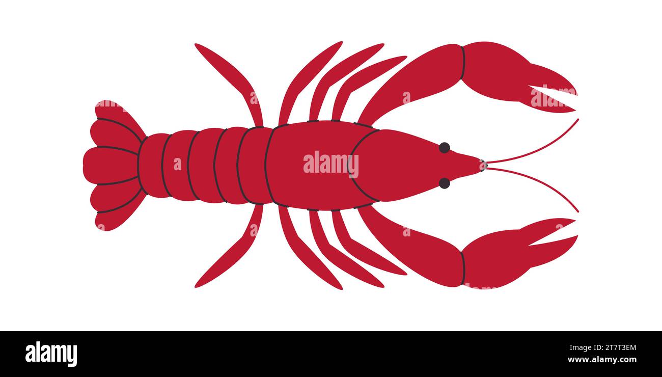 langouste de couleur rouge ou homard océan sous-marin nature sauvage animal frais sain délicieux repas de fruits de mer Illustration de Vecteur