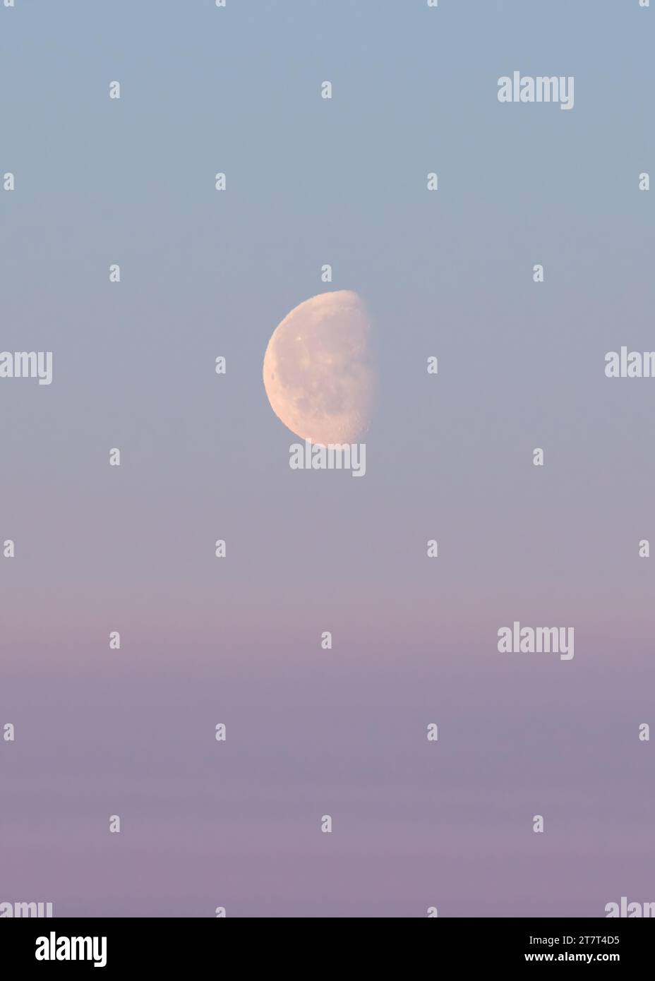 lune dans un ciel rose avec un ciel violet et bleu et des nuages Banque D'Images